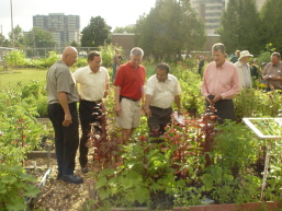 Councillor Ainslie at the Unveiling of Rose Community Gardens at Storefront and Bike Safety Event